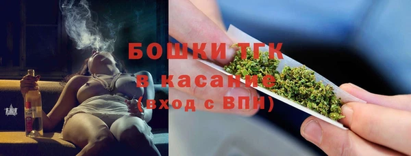 ECSTASY Богородск